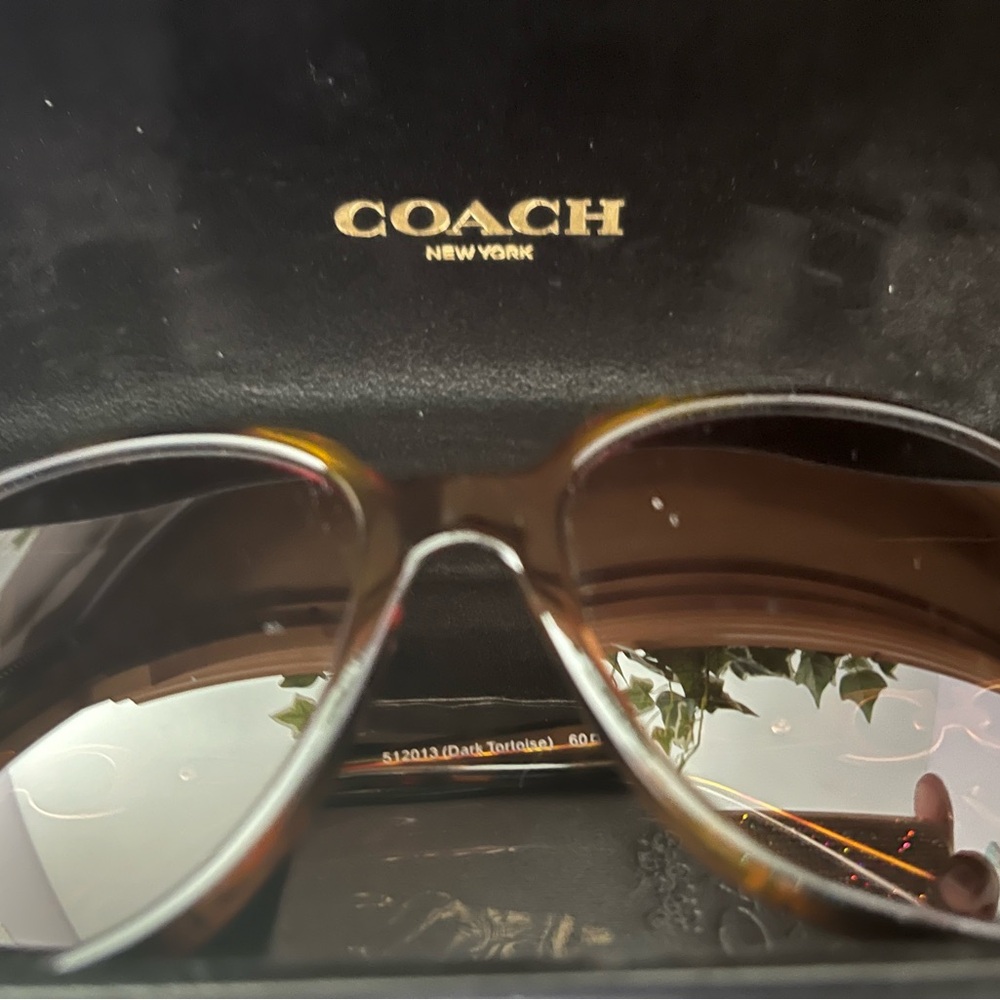 Brown Coach sunglasses